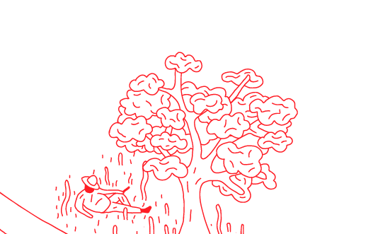 Où sont les SLOOPers ?